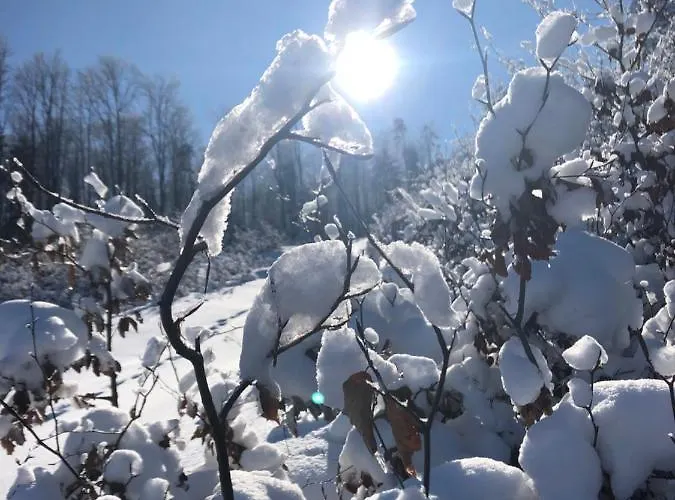 Casa vacanze W Gaiku Limanowa